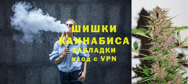 PSILOCYBIN Медвежьегорск