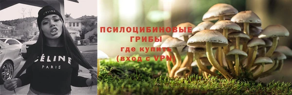 бошки Тайга