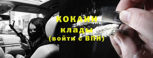 шишки Мегион