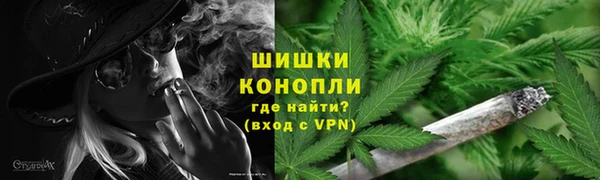 шишки Мегион