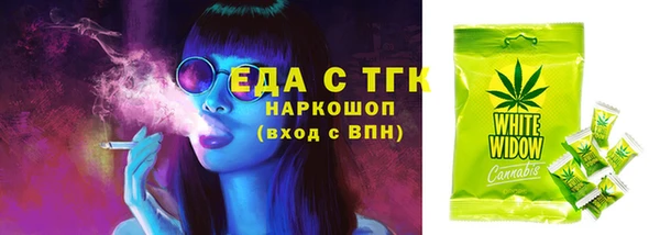шишки Мегион