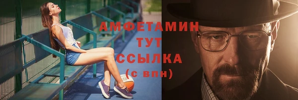 шишки Мегион