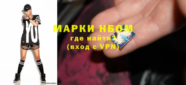шишки Мегион