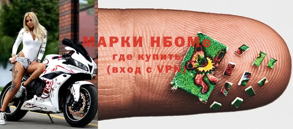 шишки Мегион