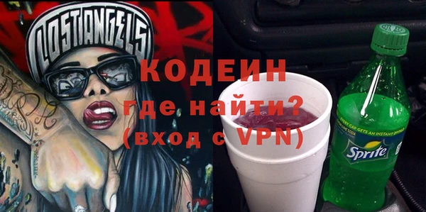 шишки Мегион