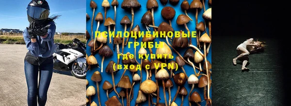 PSILOCYBIN Медвежьегорск