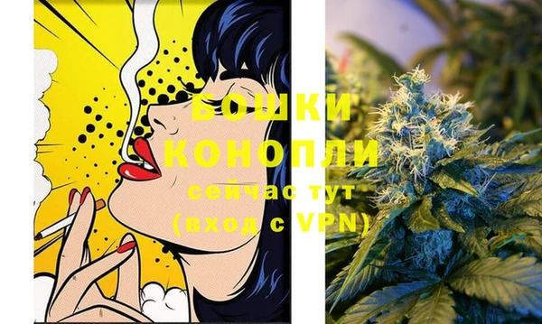 PSILOCYBIN Медвежьегорск