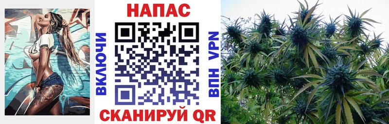 маркетплейс состав  Дрезна  Бошки Шишки марихуана 